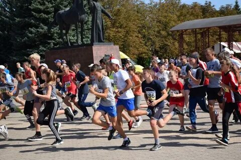 Курская белгородская область новости