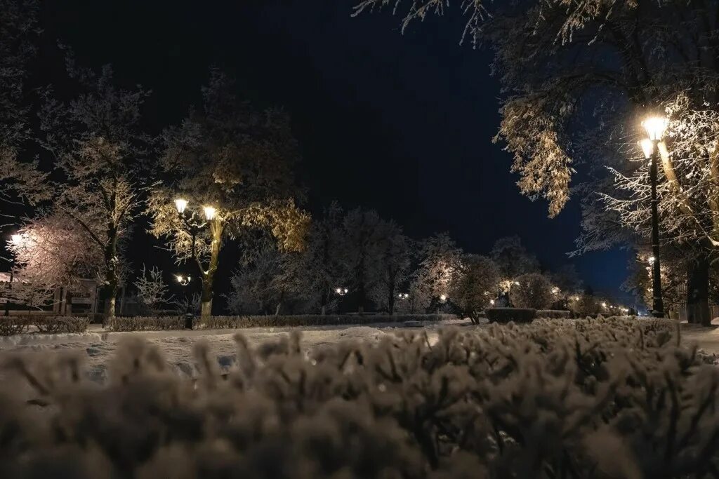 Шуваловский парк вечером зимой. Зима. К вечеру. Зимний вечер в парке. Зима парк вечер.