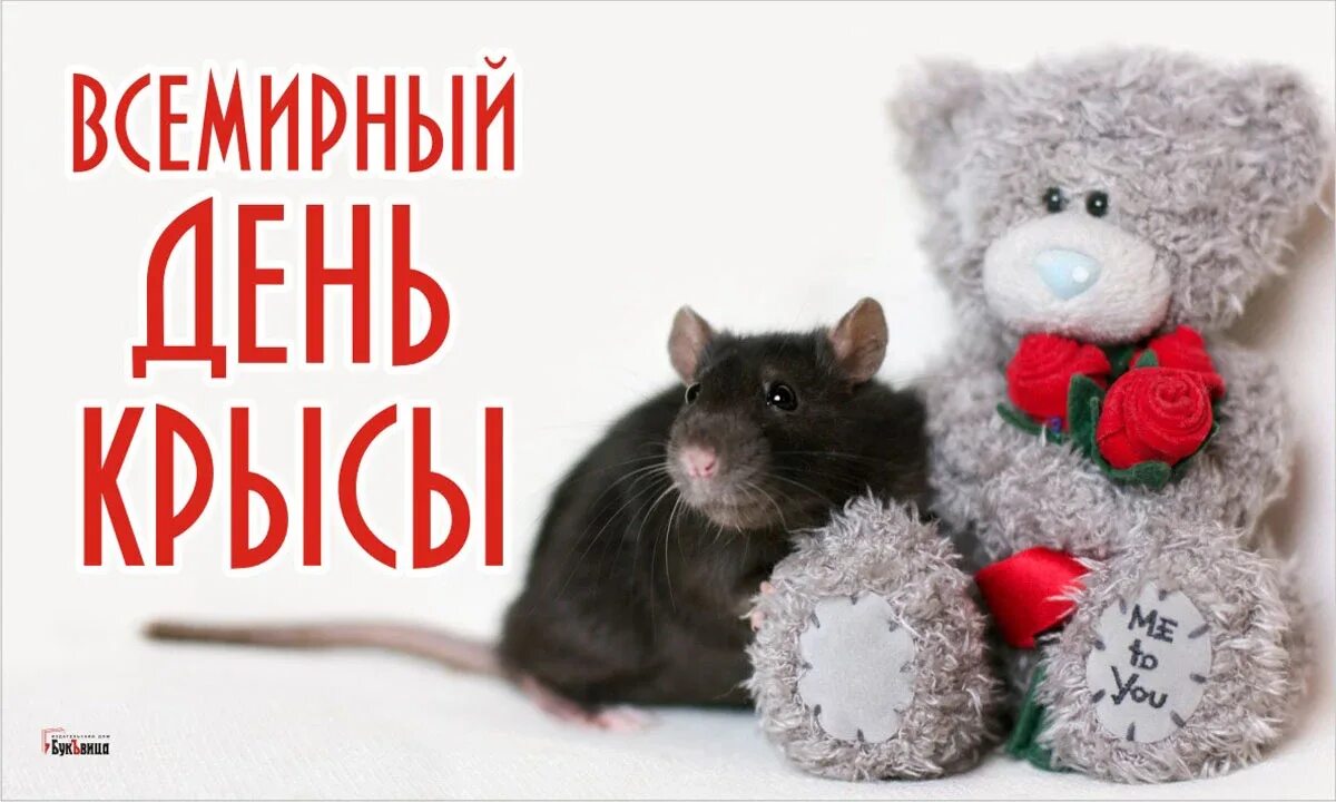 Всемирный день крысы. Открытка с крысой. День крысы праздник. 4 Апреля день крысы.