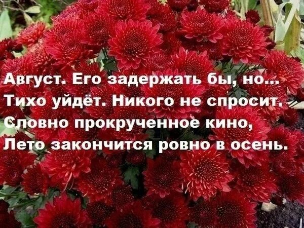Уходящий август цитаты. Тихо уходит август. цитаты про август. август его задержать бы но. август закончится ровно в осень.