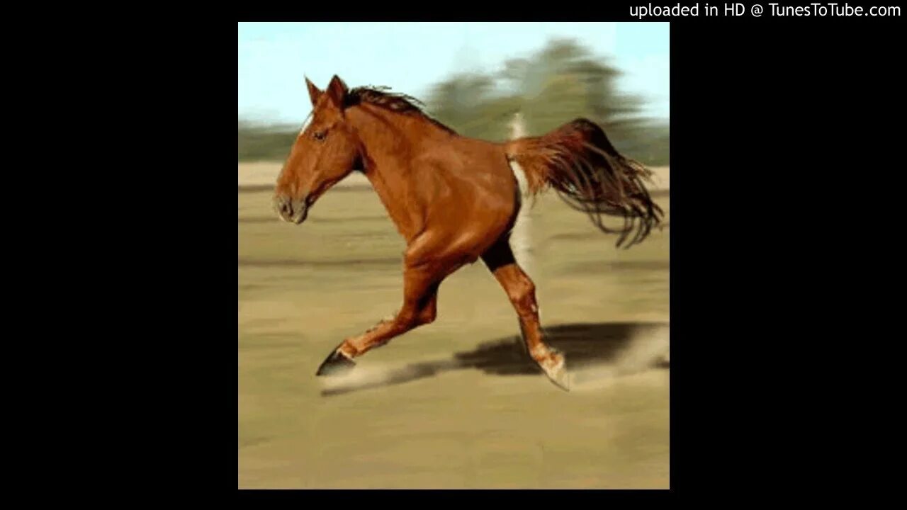 Песня три ноги. Лошадь бежит. Лошадь бегает. Конь на двух ногах. Лошадь на двух ногах.