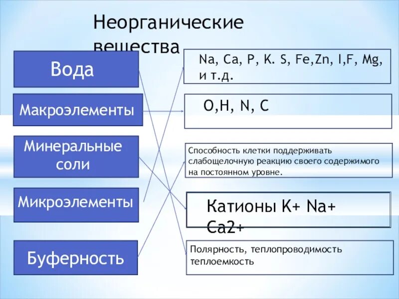 Неорганические вещества вода соли Минеральные соли. Неорганические вещества микроэлементы. Неорганические вещества вода и Минеральные вещества. Неорганические вещества клетки микроэлементы и макроэлементы.