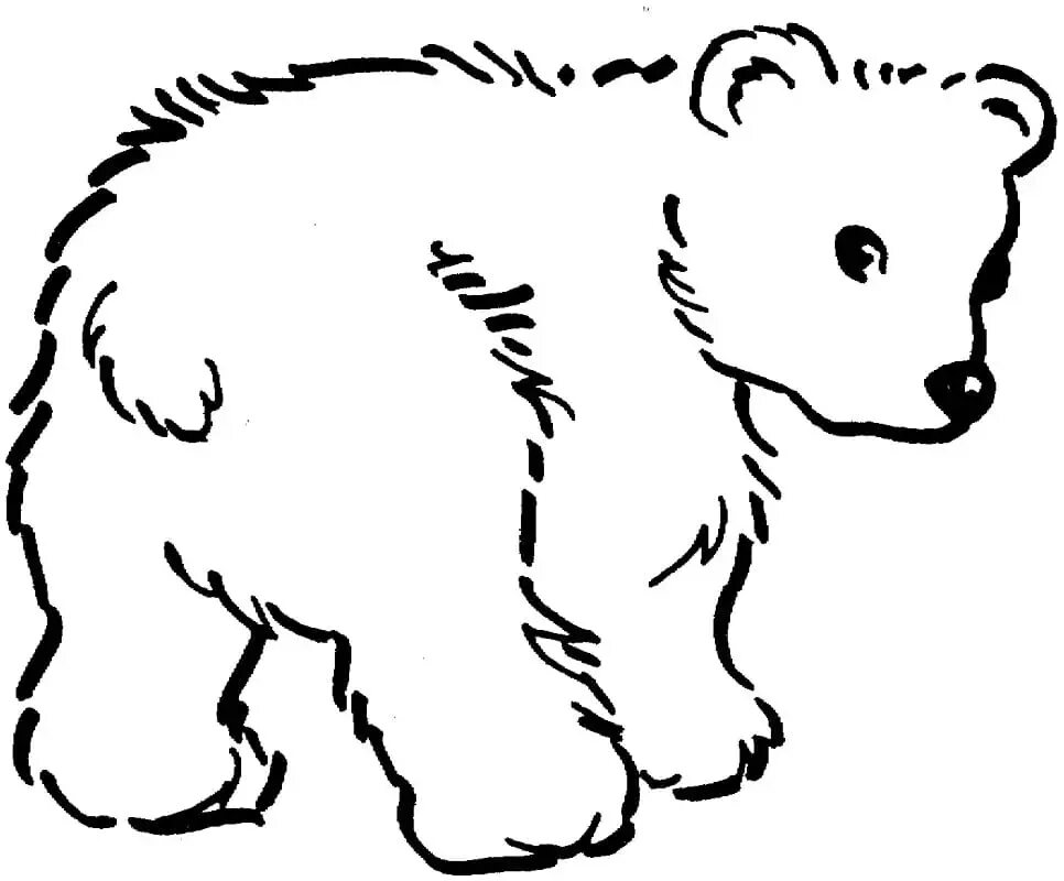 Белые картинки для детей. Медведь раскраска. Медвежонок раскраска для детей. Медведь раскраска для детей. Медведь картинка для детей раскраска.