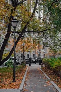 Бунин в москве