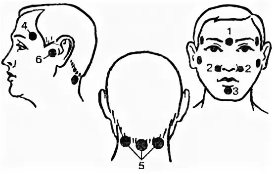 Два затылка. Точки на голове. Массажные точки на затылке. Точечный массаж головы. Точки на голове для массажа.