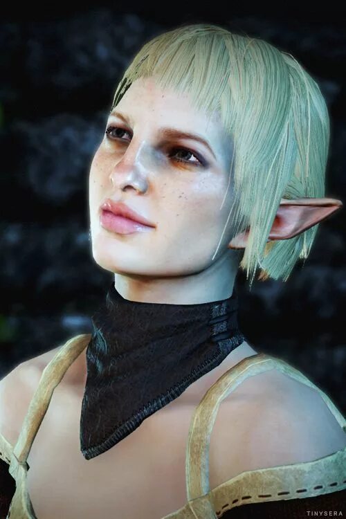 Сэра персонаж. Dragon age inquisition внешность сэры. Сэра инквизиция. Dragon age inquisition сэра. Сэра драгон эйдж инквизиция.