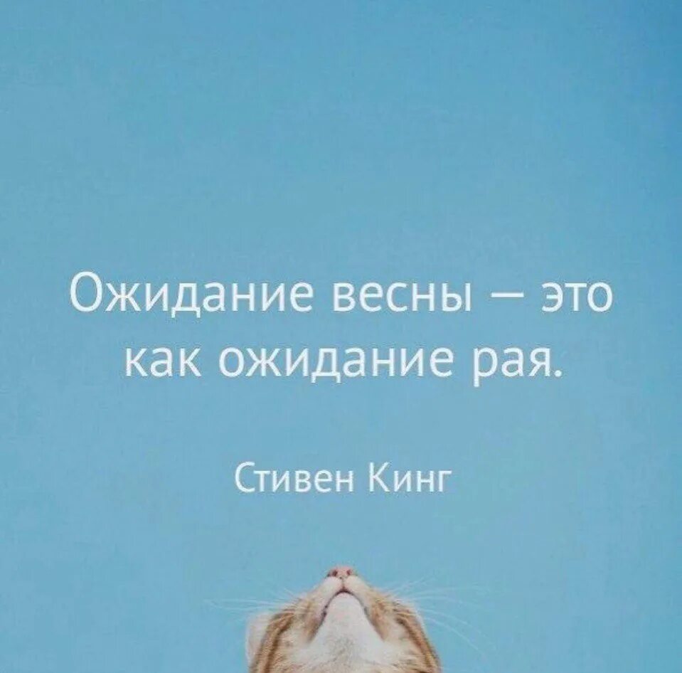 В ожидании лета текст. Афоризмы в ожидании весны. В ожидании весны цитаты. Фразы про ожидание весны. Цитаты про весну.