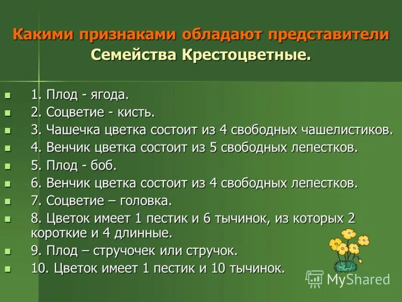Семейство крестоцветные плод стручок. Семейство капустные описание. Признаки семейства крестоцветных. Признаки которыми обладают представители семейства крестоцветные. Семейство крестоцветные соцветие кисть.