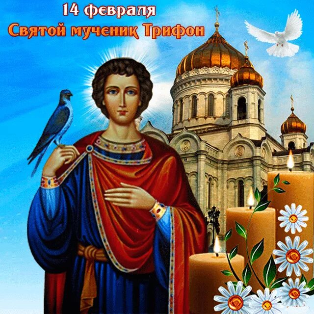 Сретение господне в 2023. С праздником церковного новолетия. 14 февраля народный календарь. Какой праздник 14 февраля 2024 года церковный. Предпразднство сретения господня 14 февраля.