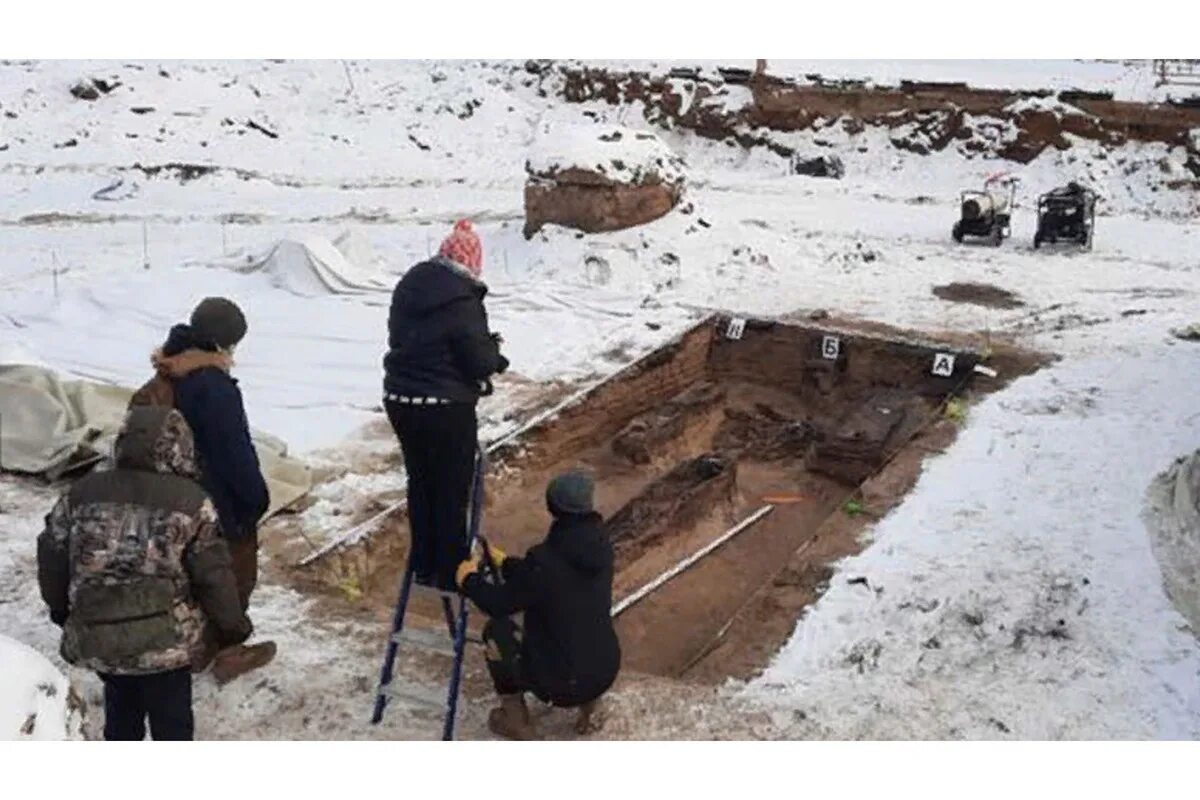 В якутии нашли динозавра. Какие останки в якутии. Динозавры и другие ископаемые якутии. След мамонта. Какие останки в якутии.