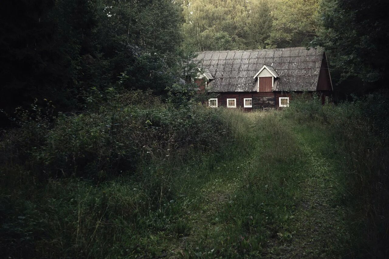 Варлов лес деревня заброшенная. Старые деревни в лесу. Старые деревни в лесу. Проклятый особняк штат индиана. Старые деревни в лесу.