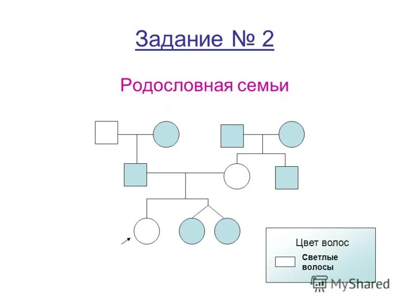 Практическая работа no 2 составление родословных. Составление родословной биология 10 класс. Практическая работа no 2 составление родословных. Практическая работа no 2 составление родословных. Практическая работа no 2 составление родословных.