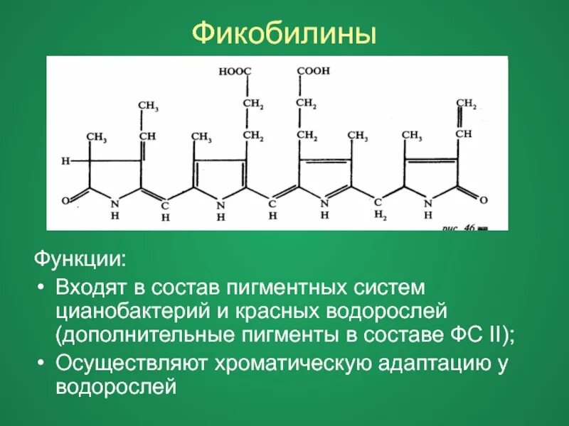 Пигменты фотосинтеза в хроматофоре. Фикобилин структурная формула. Фикобилины физико-химические свойства. Фикобилины строение. Пигменты фикобилины.