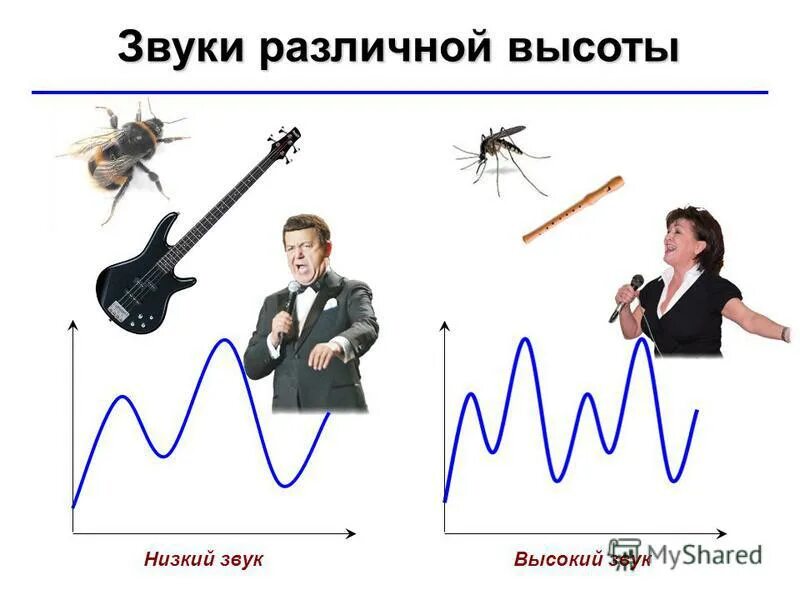 Высокий звук слушать. Высокие и низкие звуки. Высота звука. Высокий звук и низкий звук. Звуки высокие и низкие средние для детей.