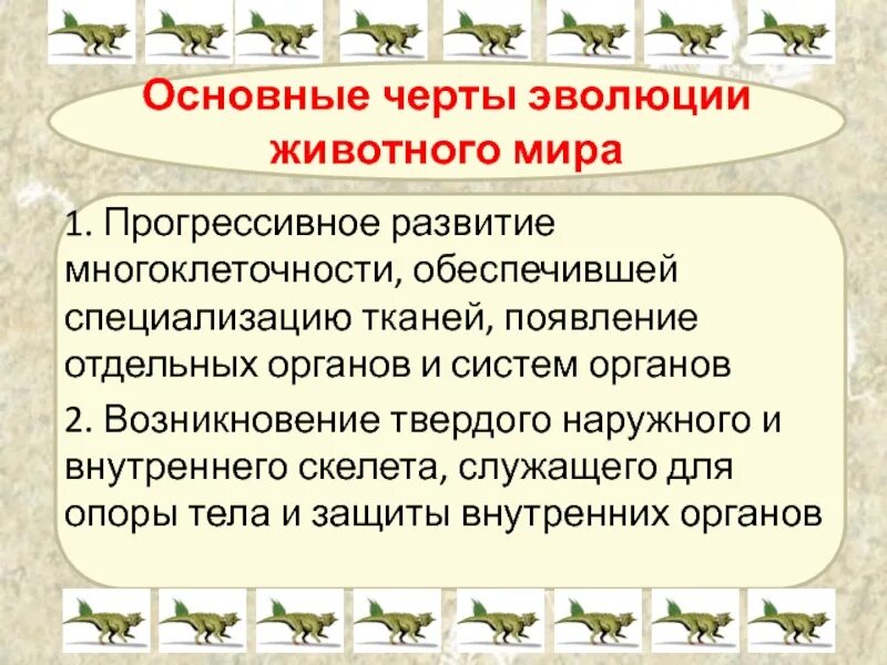 Основные этапы развития животных 8 класс. Основные черты эволюции. Основные черты эволюции животных.