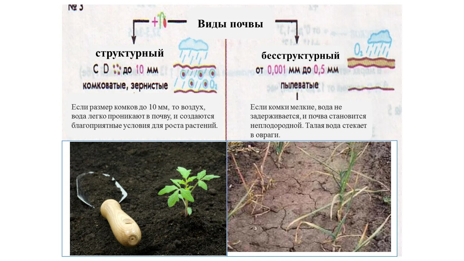 Различие почв бесструктурные. Бесструктурная почва. Структурные и бесструктурные почвы. Структурные почвы и бесструктурные почвы. Бесструктурная структура почвы.