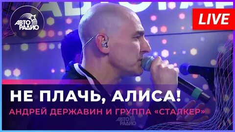 Сталкер не плачь алиса