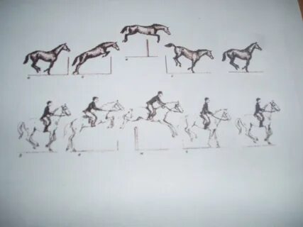 Способ бега лошади букв