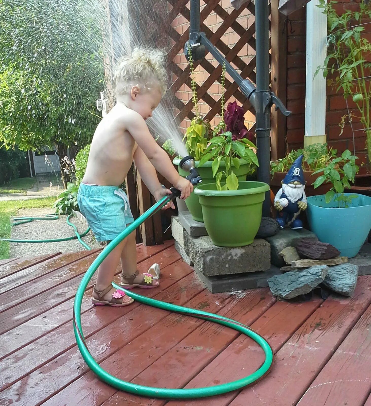 Супер отпуск на даче август 2024. Суперотпускнадаче. Суперотпуск на даче. Супер отпуск на даче август 2024. Супер - отпуск на даче.