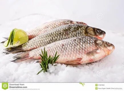 Морожен ая рыба