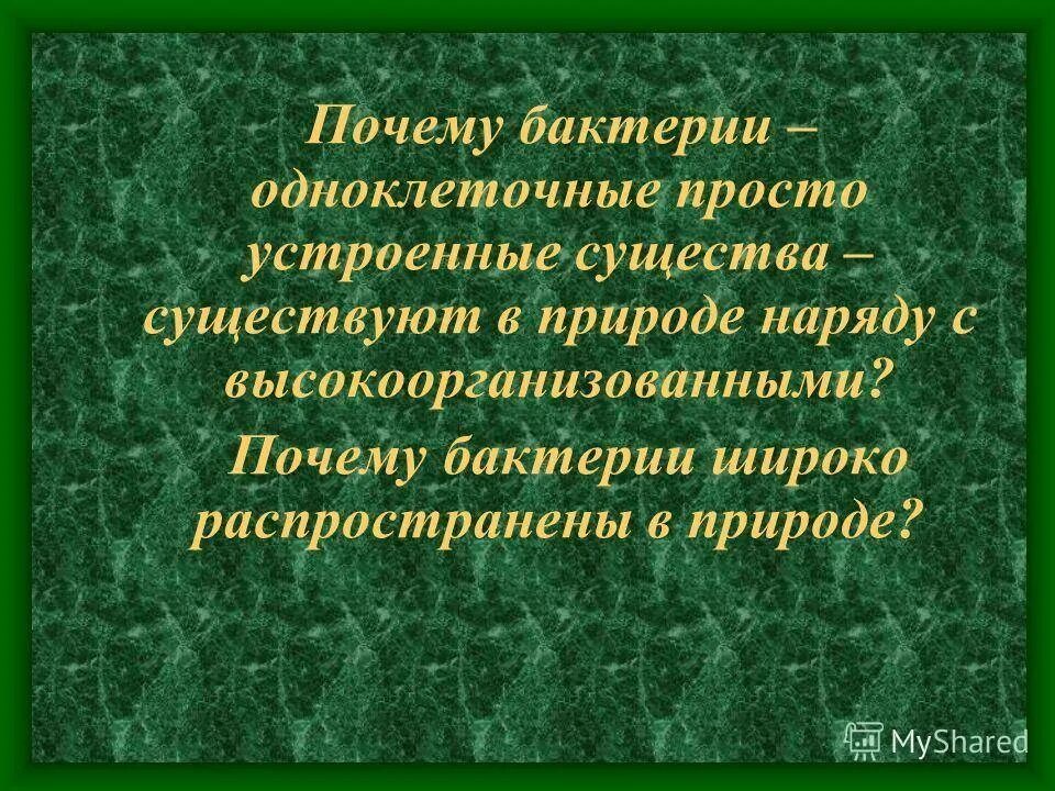 Распространение бактерий в природе. Бактерии широко распространены в природе. Почему бактерии широко распространены в природе. Таблица распространение микробов в природе
