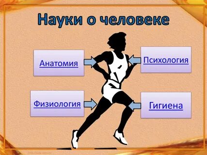 Наука о теле 8 букв