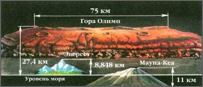 Самый большой вулкан солнечной системы находится. Гора Олимп на Марсе высота. Гора Олимп на Марсе сравнение с Эверестом. Гора Олимп на Марсе высота сравнение. Гора Олимп на Марсе диаметр.