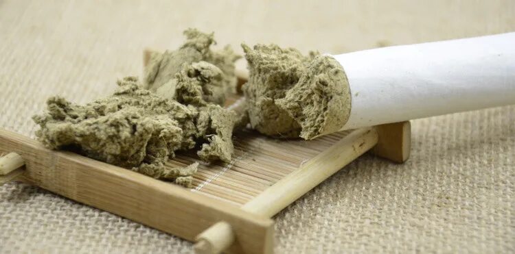 Растение artemisia argyi. Мокса полынь. Мокса полынь. Мокса полынь. Полынь mugwort.