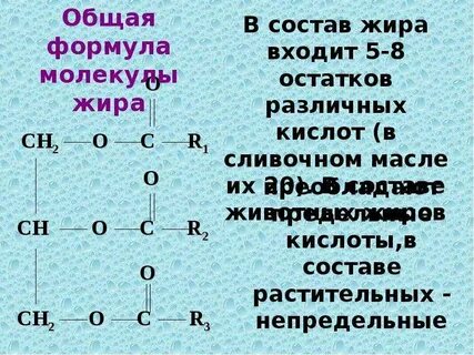 Кислород входит в состав жиров