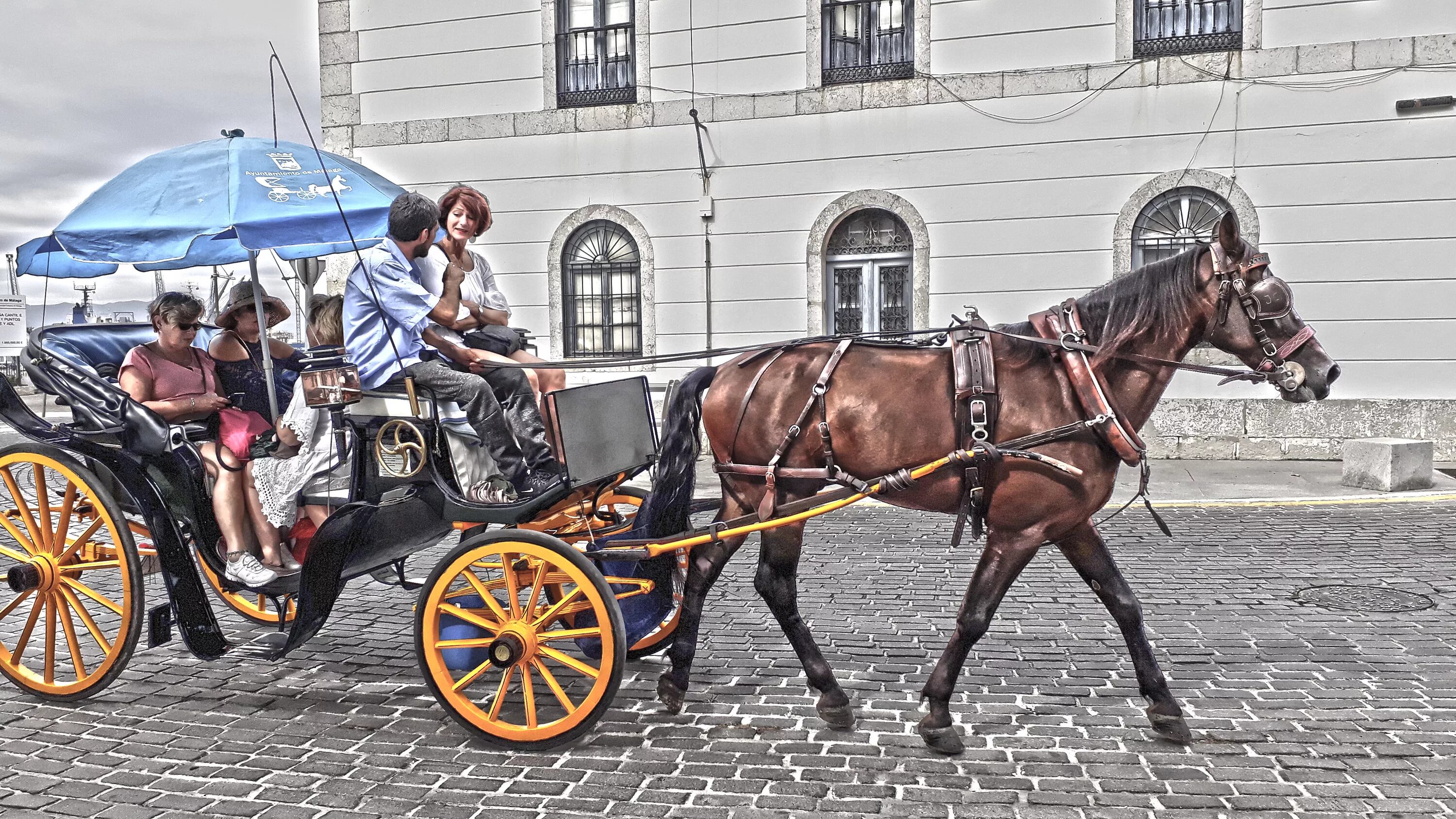 Передвижение лошади. Фаэтон карета. Фаэтон конный экипаж. Фаэтон в России карета 19 век. Рыдван карета.