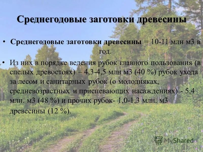 тест лесные богатства беларуси 3 класс