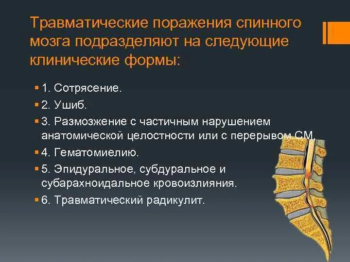 Причины повреждения спинного мозга. Заболевания травм спинного мозга классификация. Травматическое поражение спинного мозга. Формы травм спинного мозга.