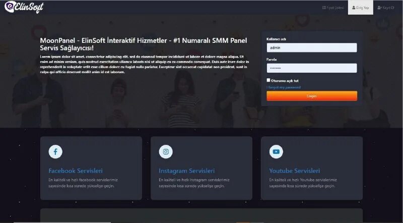 Script panel. Script panel