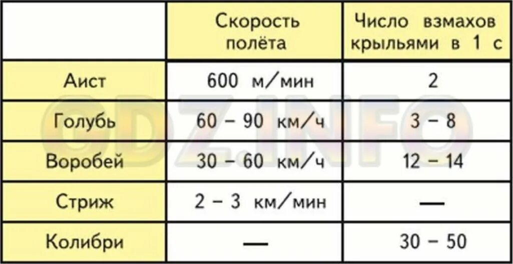 Рассмотри и Сравни данные приведенные в следующей таблице. Скорость полета аиста. Скорость полета голубя км/ч. Сравнение скорости.