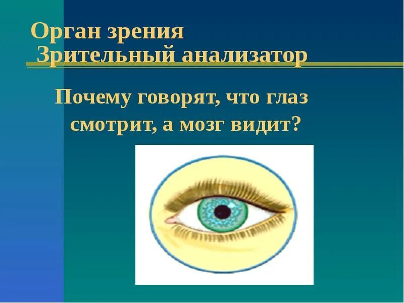 Зрительная работа