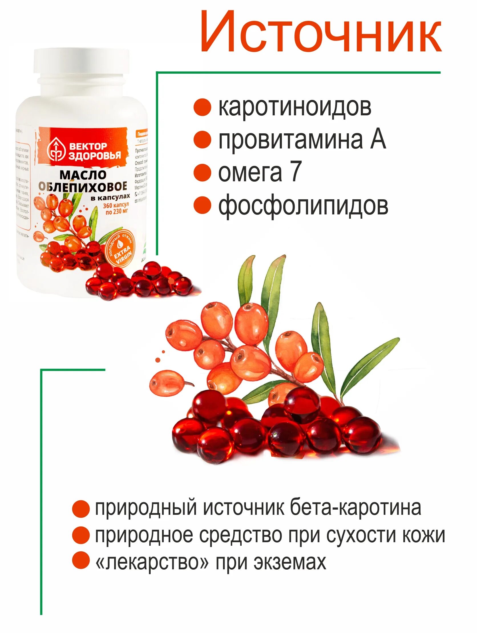 Применение облепихового. Масло "облепиховое" капсулированное 300 мг (180 капсул). Масло облепихи в капсулах. Масло облепихи в капсулах 250. Облепиховое масло лечебные.