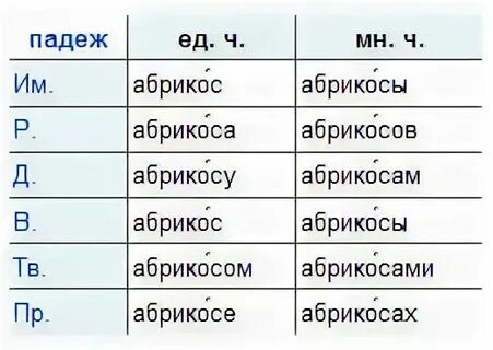 Помидор во множественном числе родительном падеже