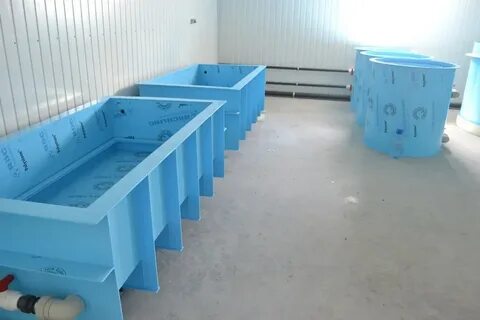 Пластиковая емкость для рыбы