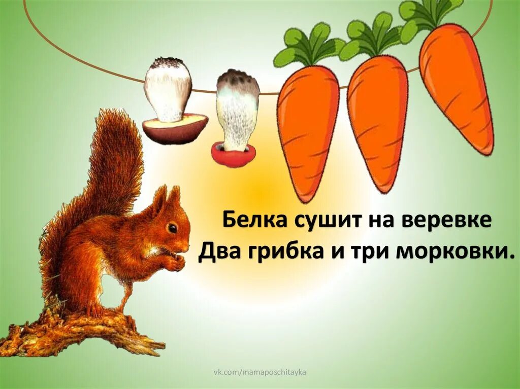 Морковный белок