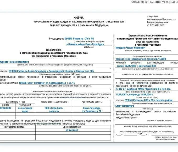 Какие документы подтверждающие проживание. Уведомление о подтверждении проживания иностранного гражданина. Уведомление о проживании иностранного гражданина. Уведомление образец заполнения. Образец заполнения уведомления о проживании иностранного гражданина.