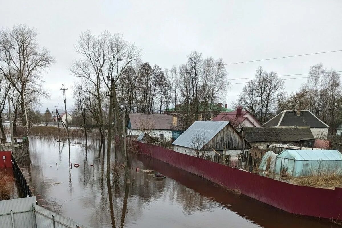 Залитая в половодье