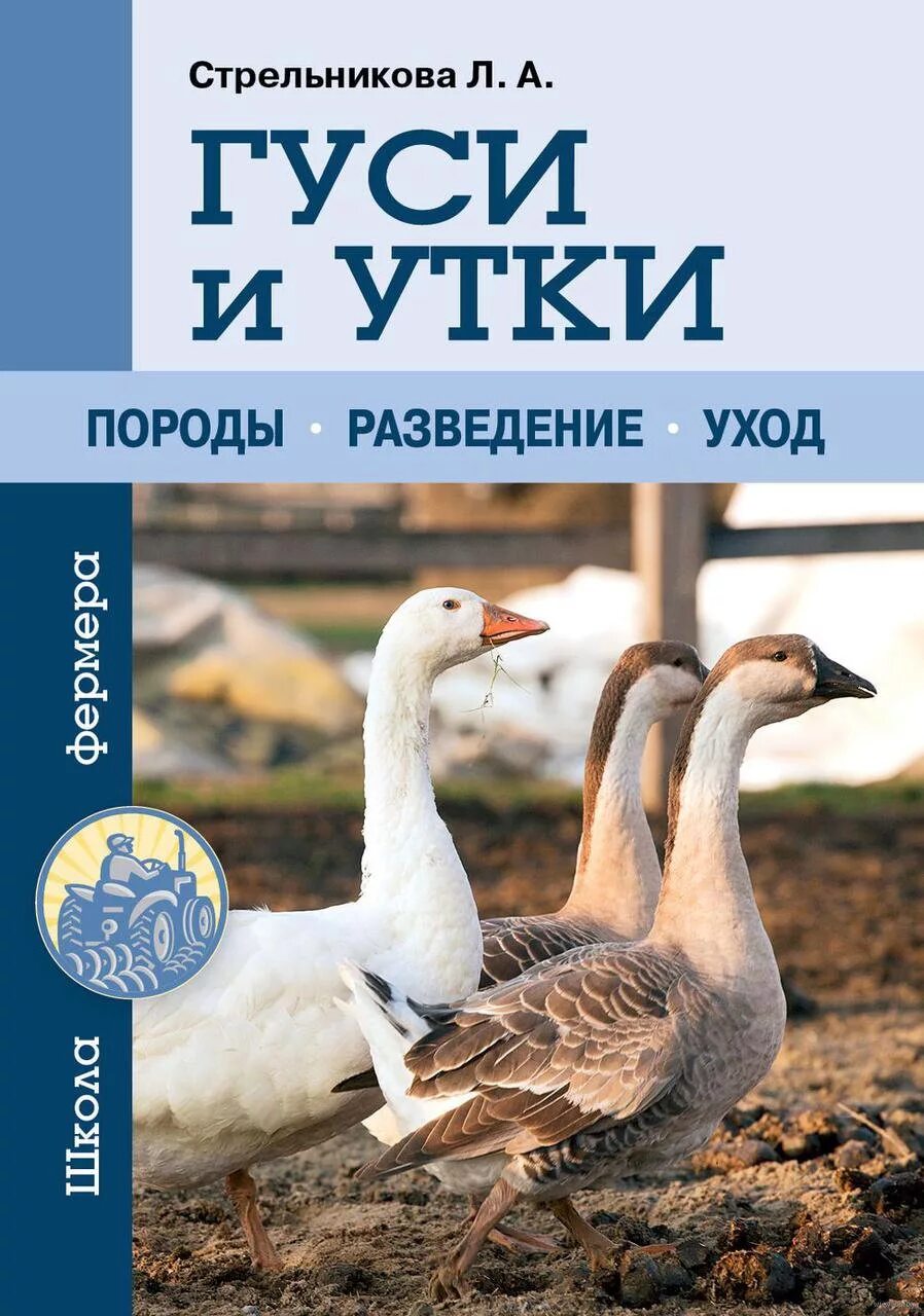 Книга серые гуси. Книги про уток. Гусь с книгой. Книжка о Гусе. Утки книга.