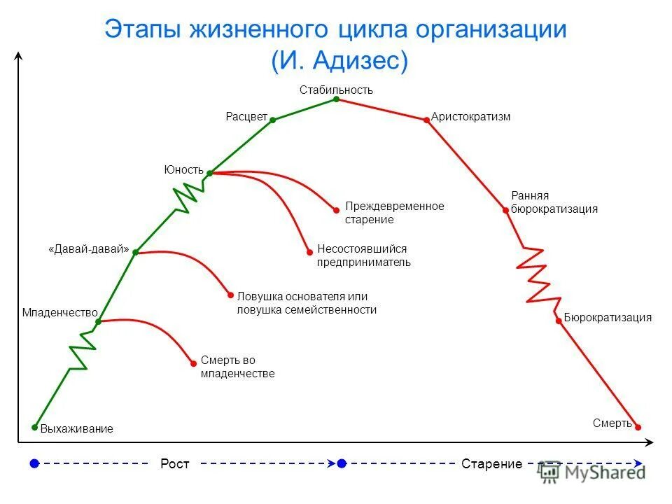 На какой стадии развития находится. Этапы жизненного цикла фирмы. адизес этапы жизненного цикла организации. адизес стадии жизненного цикла. стадии жизненного цикла организации адизес.