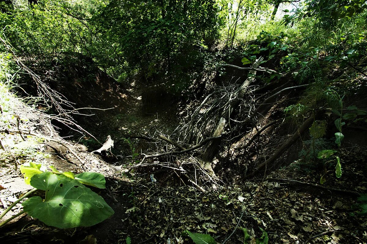 сидящие у рва. антон павлович чехов в овраге. в овраге герой. в овраге герой. в овраге чехов рисунок.