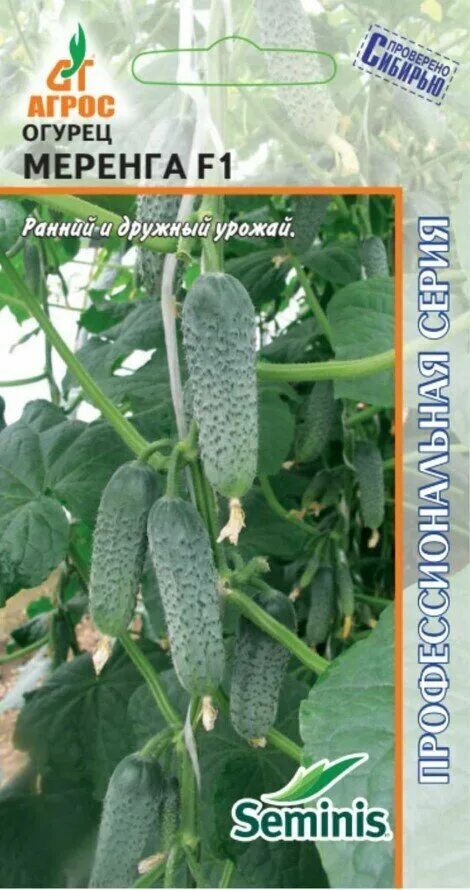 огурец меренга f1 5шт (партнер). огурец мироша f1 10шт партнер. огурец метелица f1. семена огурец меренга f1. огурец меренга f1.