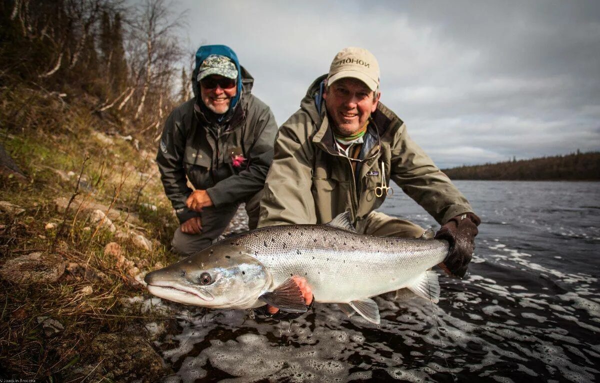 Териберка рыбалка в баренцевом море. Треска рыбалка мурманск. Мурманское рыболовство. Турбаза ура губа мурманская область. Мурманские морские рыбалки ура губа.