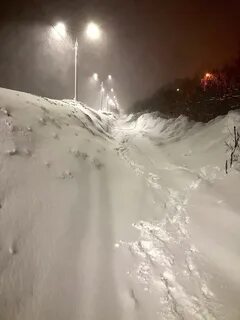 Снежок в ответ