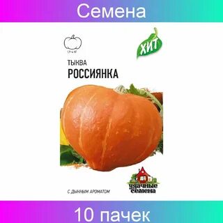 Тыква россиянка