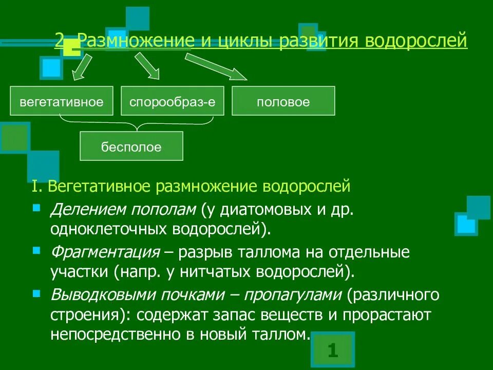 Какие водоросли размножаются. Вегетативное размножение диатомовых водорослей. Вегетативное размножение водоростя. Цикл развития водорослей. Вегетативное размножение ламинарии.