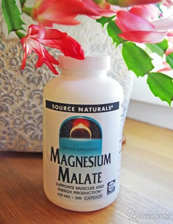 Magnesium source naturals. Магнезиум малат source naturals. бад для нервной системы. бад магний малат. магнезия малат айхерб.